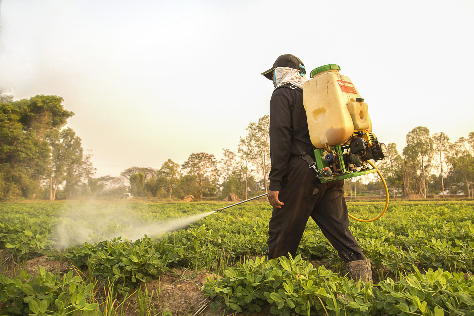 Public health pesticides