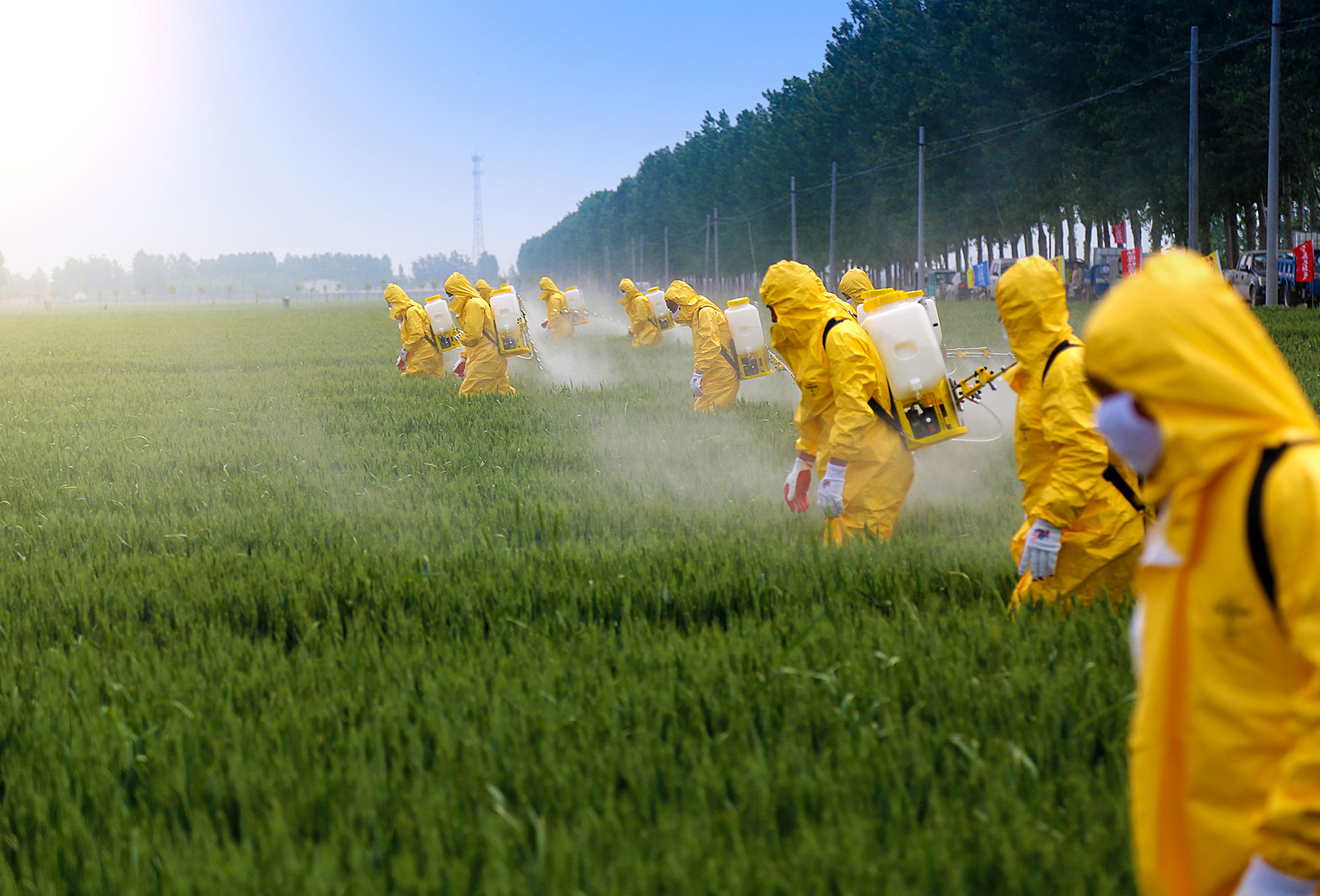 Insecticide