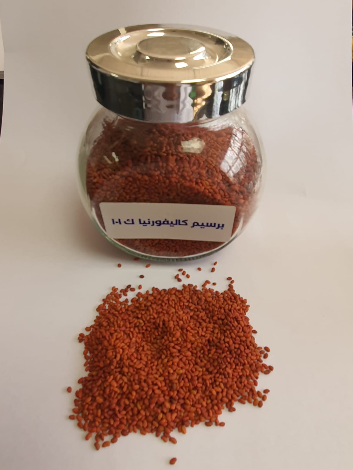 alfalfa seeds